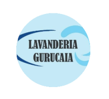 www.lavanderiagurucaia.com.br favicon